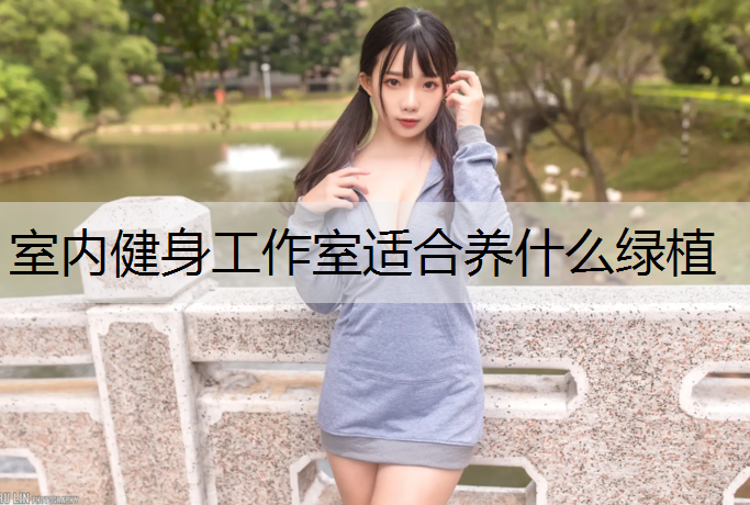 <strong>室内健身工作室适合养什么绿植</strong>