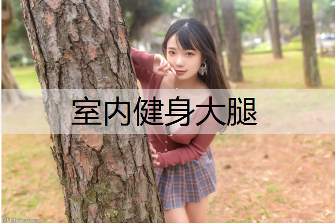 <strong>室内健身大腿</strong>