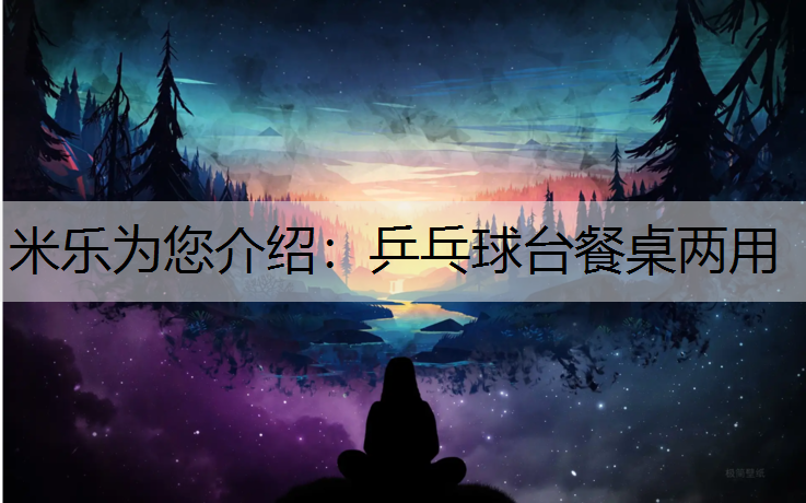 <strong>米乐为您介绍：乒乓球台餐桌两用</strong>