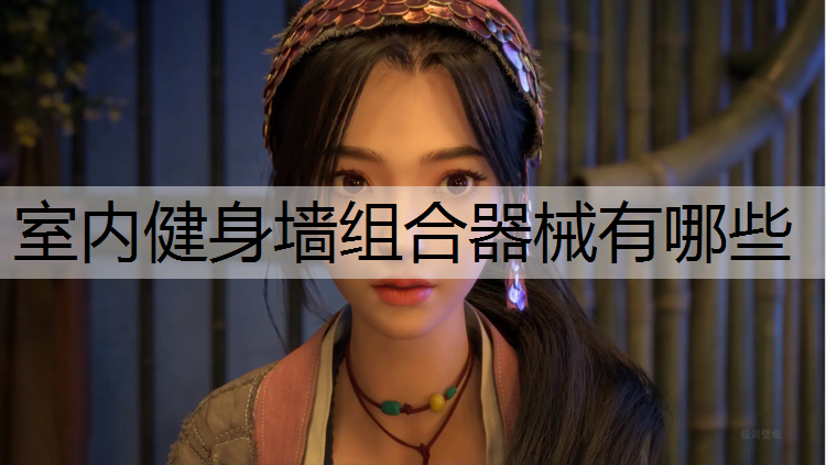 <strong>室内健身墙组合器械有哪些</strong>