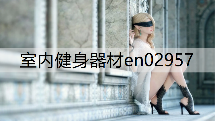 室内健身器材en02957