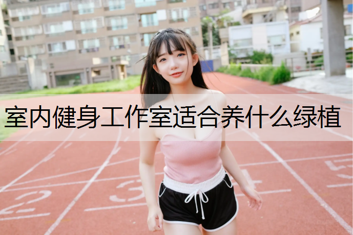 室内健身工作室适合养什么绿植