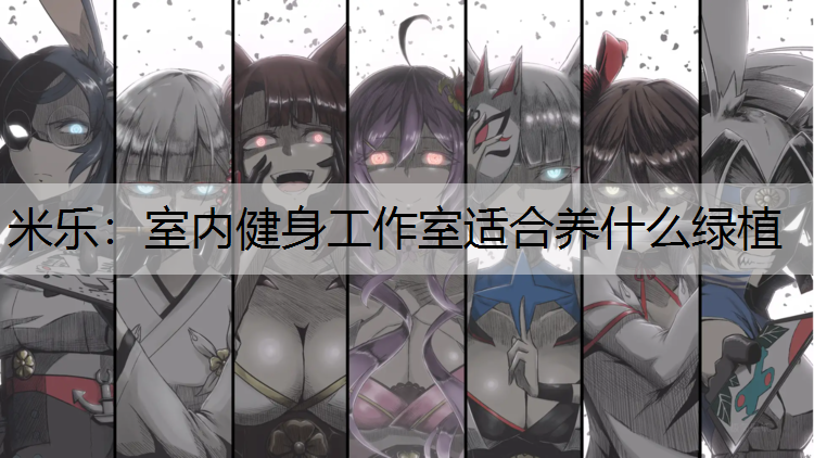 室内健身工作室适合养什么绿植