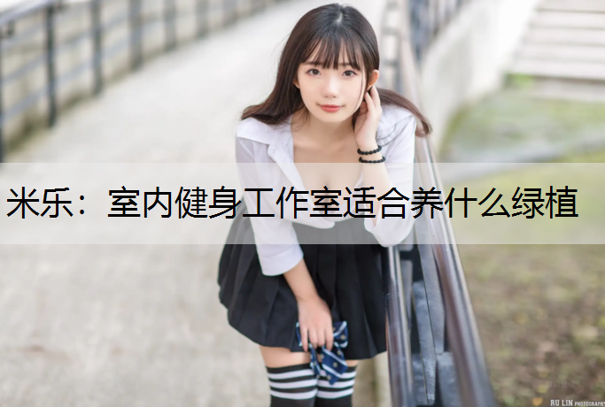 室内健身工作室适合养什么绿植
