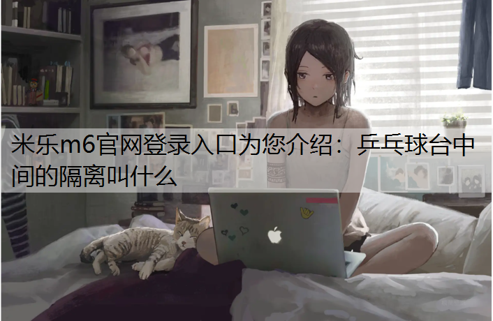 乒乓球台中间的隔离叫什么