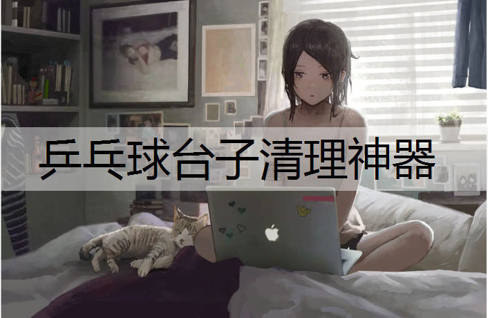 乒乓球台子清理神器