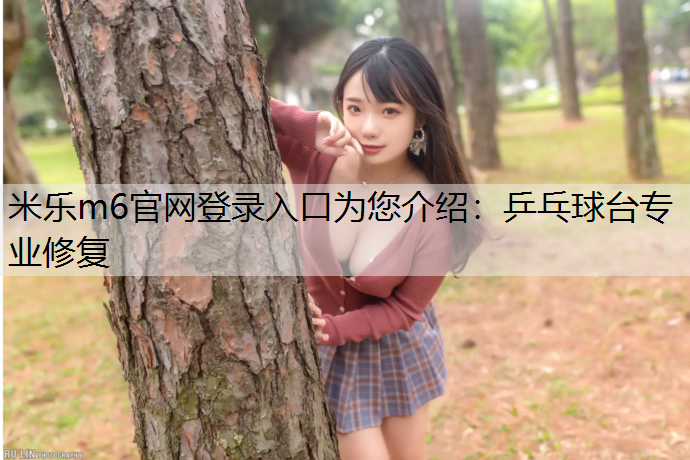 乒乓球台专业修复