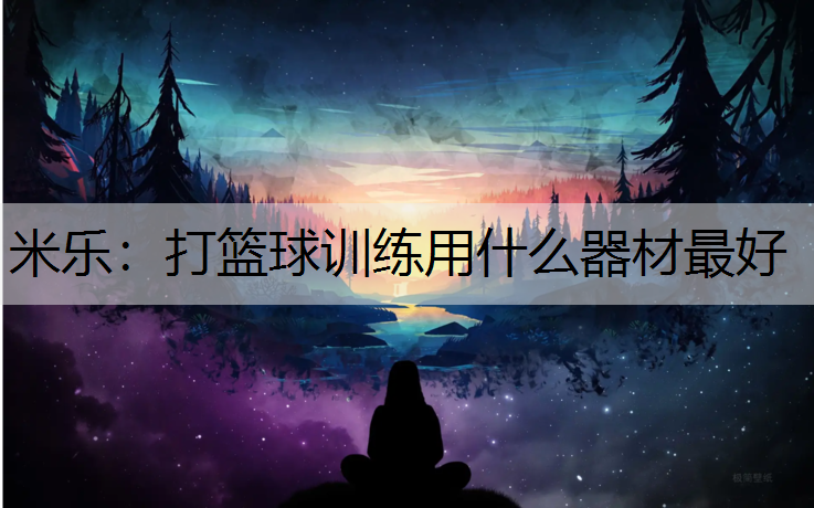 打篮球训练用什么器材最好