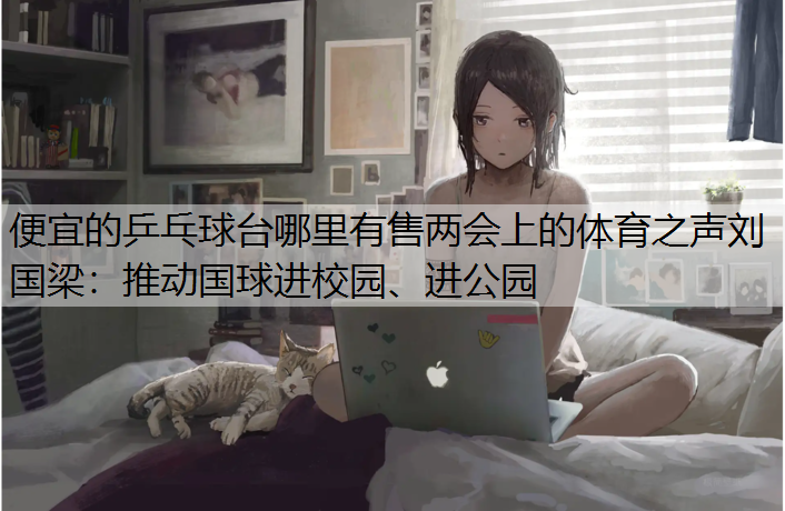 便宜的乒乓球台哪里有售两会上的体育之声刘国梁：推动国球进校园、进公园